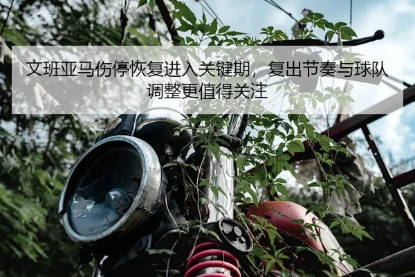 文班亚马伤停恢复进入关键期，复出节奏与球队调整更值得关注