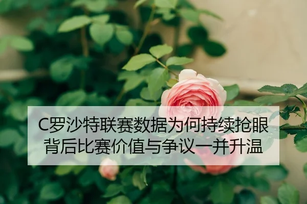 luo-sha-te-lian-sai-shu-ju-wei-he-chi-xu-qiang-yan-bei-hou-bi-sai-jia-zhi-yu-zheng-yi-yi-bing-sheng-wen-3-862.jpg